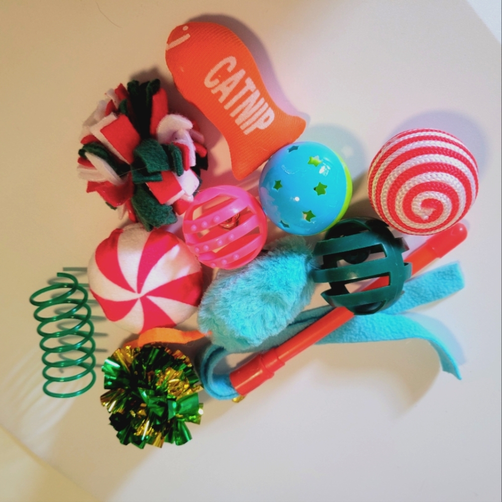 11 Pack of Cat Toys